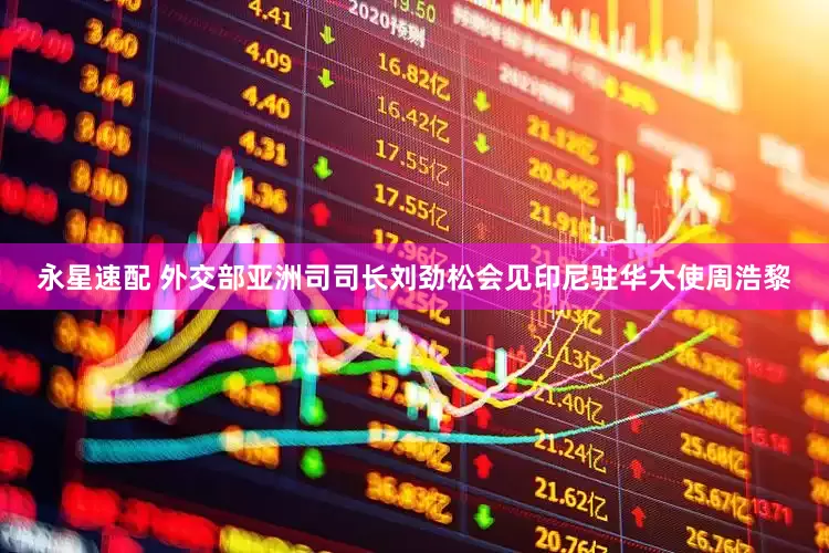 永星速配 外交部亚洲司司长刘劲松会见印尼驻华大使周浩黎